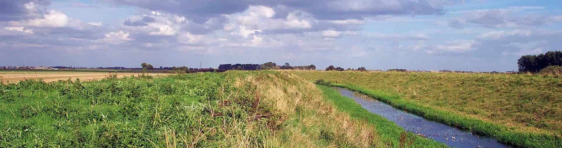 Nature reserve at Thurlby Fen near Bourne, Lincolnshire. Photo: Rex Needle