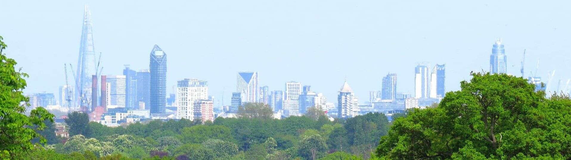 A view of the London skyline, with Richmond Park in the foreground. Photo: T. Bery