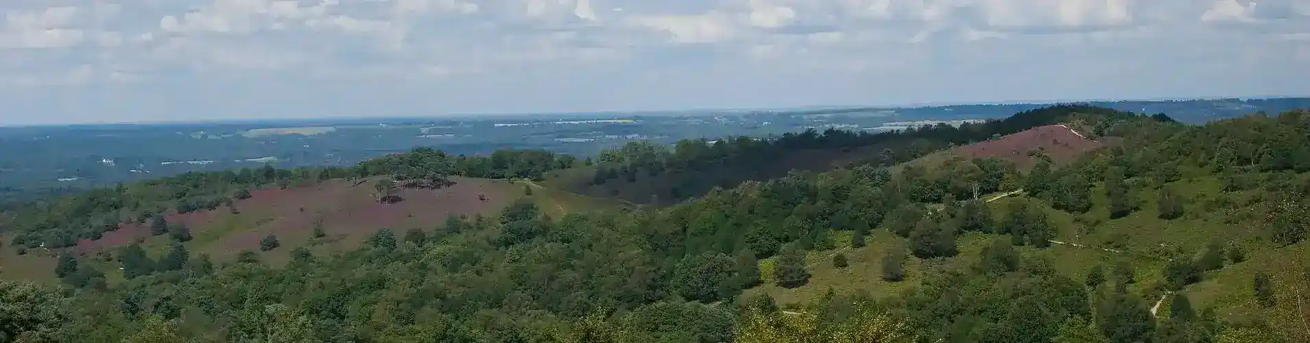 A view of Devil's Punch Bowl, Hindhead, Surrey. Photo: David Lewis