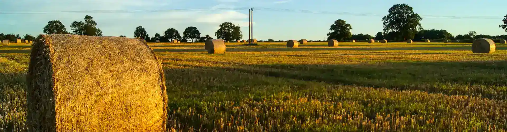 Remembering Summer's Ending - Grafton Flyford, Worcestershire. Photo: Phil Dolby