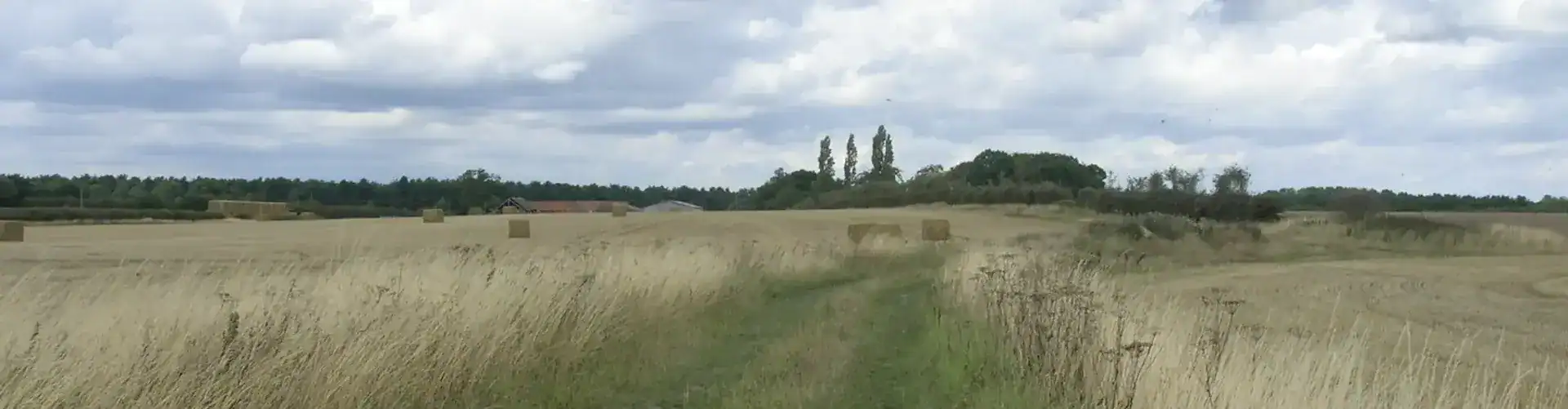 Farm track towards Tickhill Grange. Photo: J Thomas