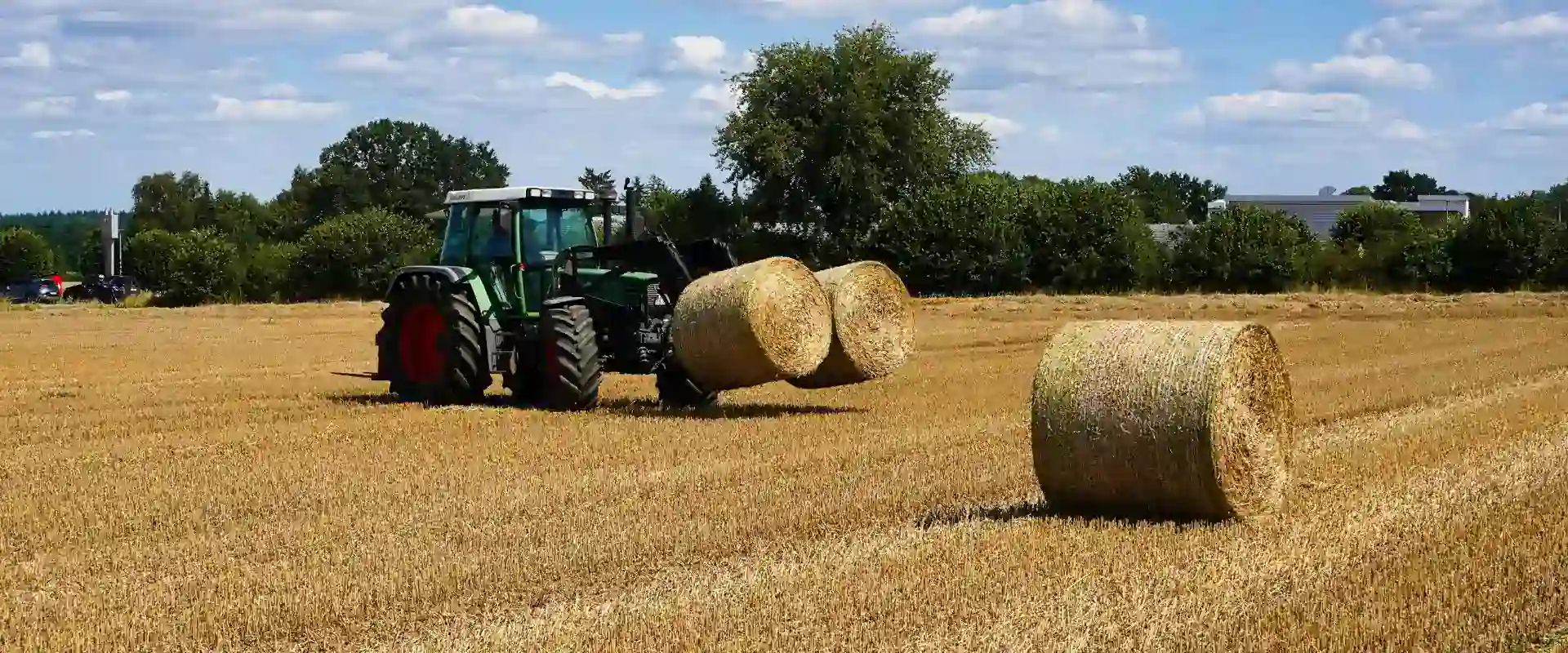A tractor gathers round bales of hay in a golden field.
