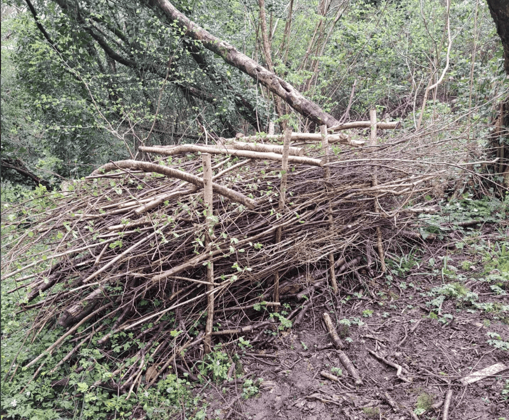 A pile of brash - the smaller branches and twigs from the top of the hazels. 