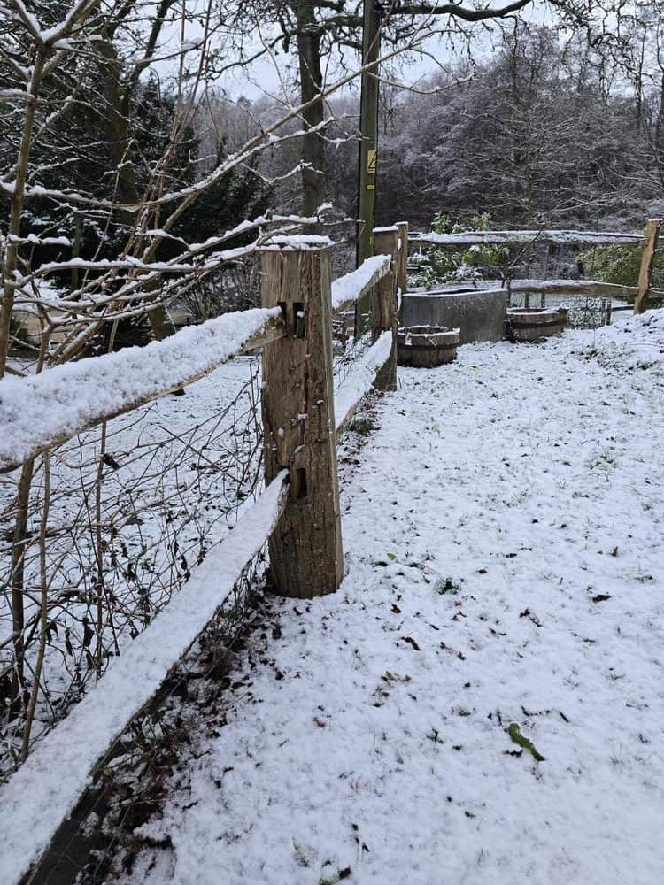 It did it! It snowed!