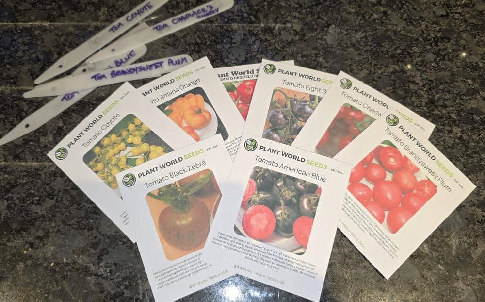 It's time for tomatoes!